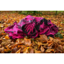 Ring Sling Yaro Oasis Puffy Fuschia Grey Wool Glam