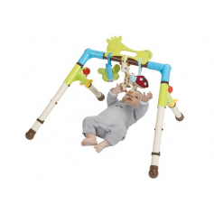 Portique Sophie la girafe